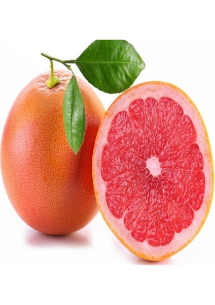 Tüplü Içi Dışı Kırmızı Starrbuy Altıntop Greyfurt Fidanı