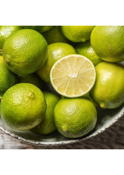 Tüplü Aşılı Tahiti Lime Çekirdeksiz Limon Fidanı