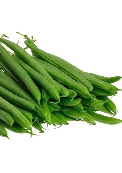 Doğal Köylü Oturak Börülce Fidesi(5 Adet)