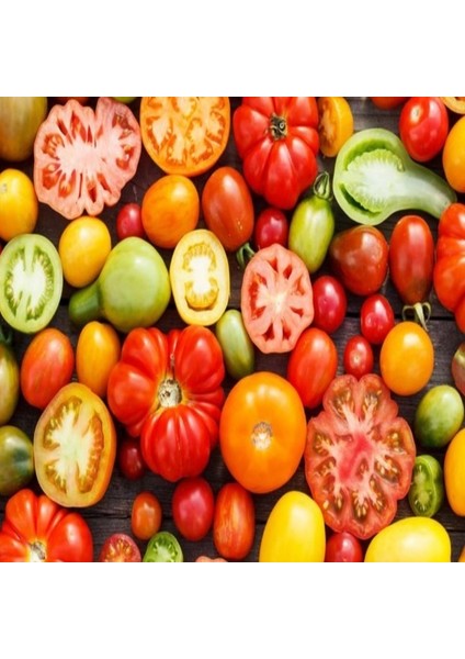 Saksılık Bonsai Çeri Domates Fidesi (5 Adet) modelleri