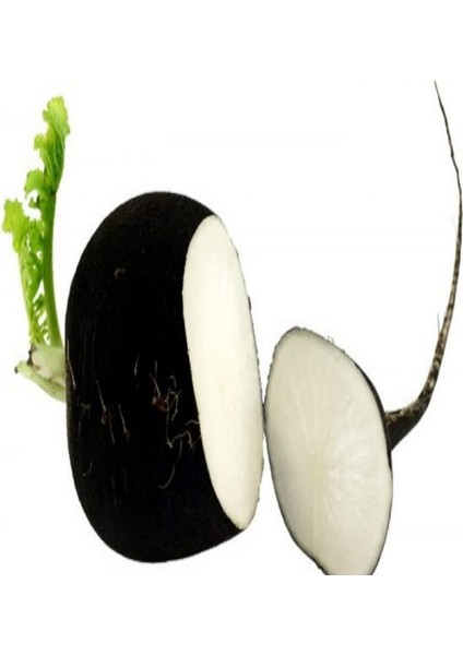 Black Siyah Turp 500 tohum