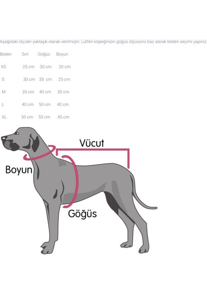 Lemonade Fiyonk Papyon Aksesuarlı Köpek Boyun Tasması Small