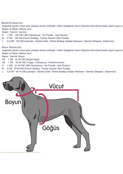 Bopp Çiçek Aksesuarlı Köpek Boyun Tasması Medium