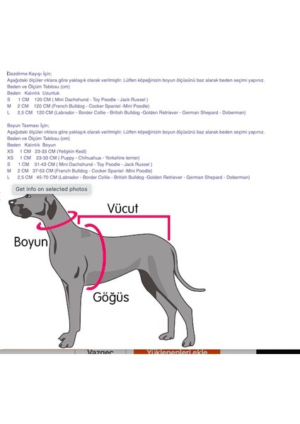 Lucy Fiyonk Papyon Aksesuarlı Köpek Boyun Tasması M
