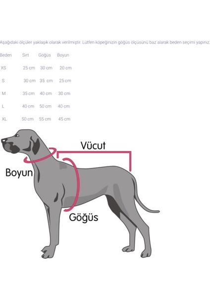 Cherry Çiçek Aksesuarlı Köpek Boyun Tasması Medium