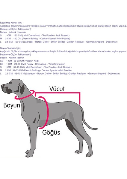 Cherry Papyon Fiyonk Aksesuarlı Köpek Boyun Tasması Medium
