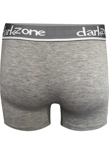 DZN2703 Gri Erkek Boxer