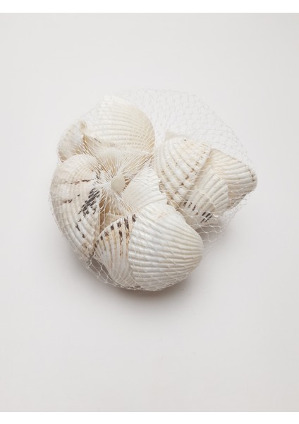 Filede Dekoratif Deniz Kabuğu 200 gr