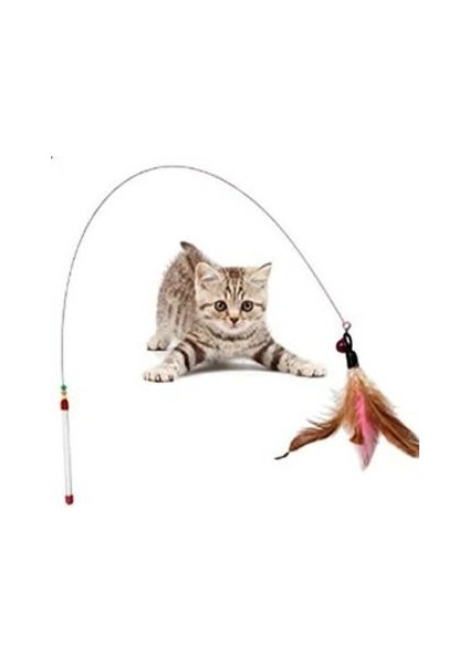 Kedi Oltası Kedi Oyuncak