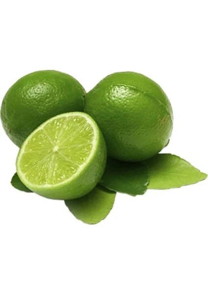 Sebze Meyve Dünyası Lime Misket Limon 500 gr