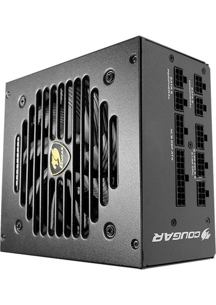 GEX850 850W Power Supply (80 Plus Gold)