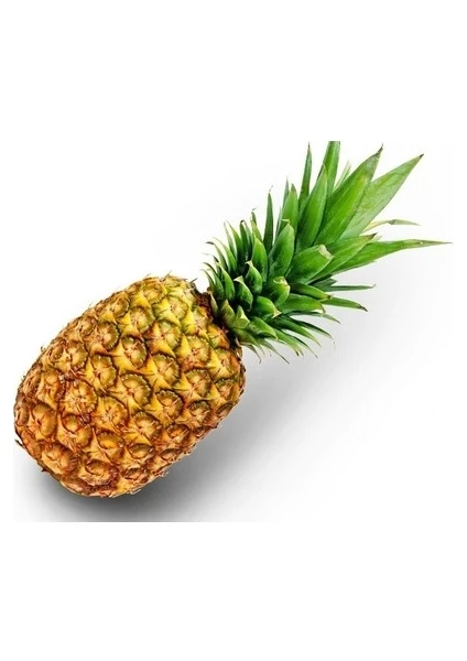 10 Adet Ananas Meyve Tohumu Ananas Tohumu Sürpriz Hediye Tohumludur