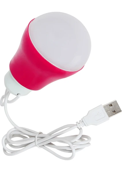 15W 6V USB Kablolu Beyaz LED Ampul PM-12765