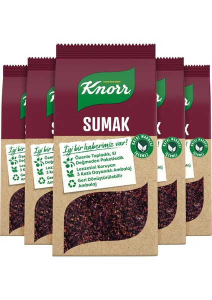 Baharat Serisi Sumak 70 gr x 5 Adet