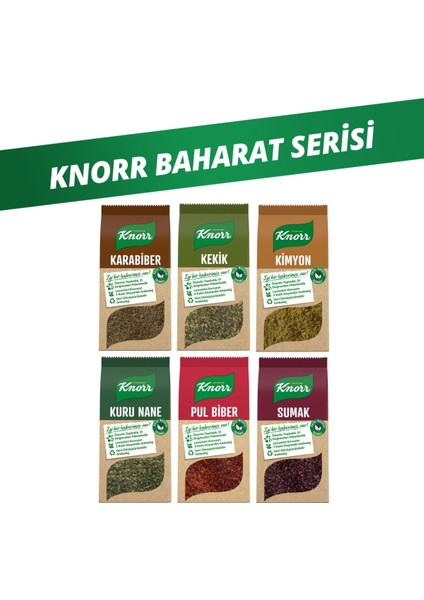 Baharat Serisi Pul Biber 65GR+Karabiber 60GR+Kuru Nane 25GR+Kekik 20GR+Kimyon 65GR+Sumak 70GR