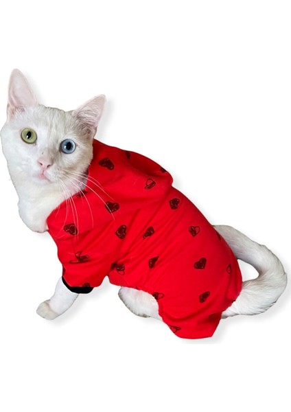 Darky Hearts Kapşonlu Penye Kedi Tulumu Kırmızı Xxl fiyatları
