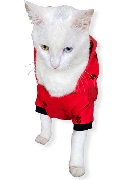 Darky Hearts Kapşonlu Penye Kedi Tulumu Kırmızı Xxl fırsatları