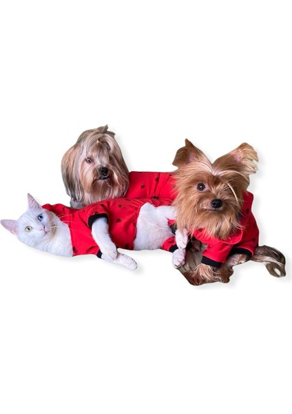 Darky Hearts Kapşonlu Penye Kedi Tulumu Kırmızı Xxl indirimleri