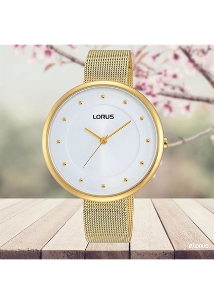 Çelik Hasır Kadın Kol Saati RG290JX-9 fiyatları