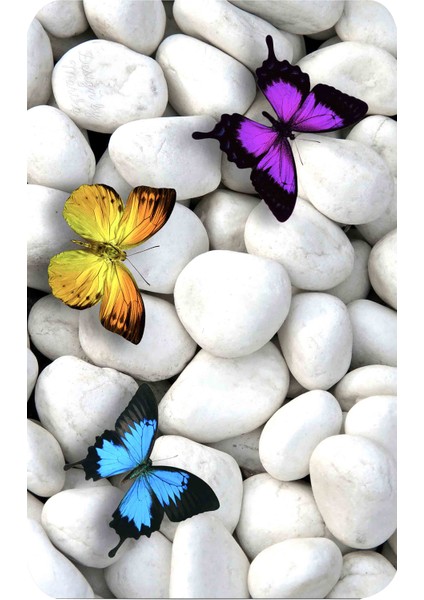 Dijital Baskılı 2'li Banyo Paspas Takımı RVG5033 fiyatları