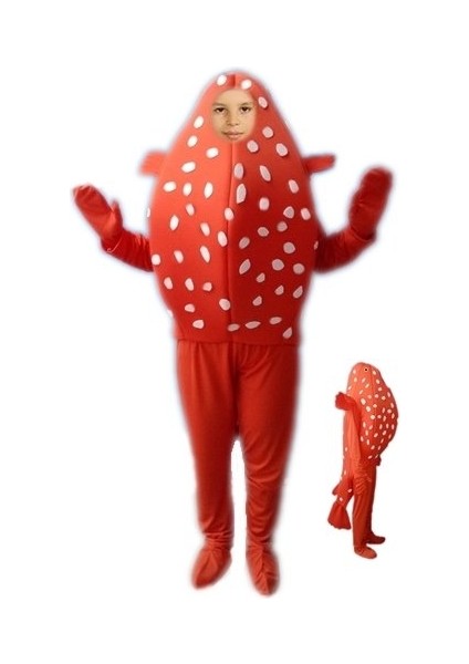 Balon Balığı Kostümü