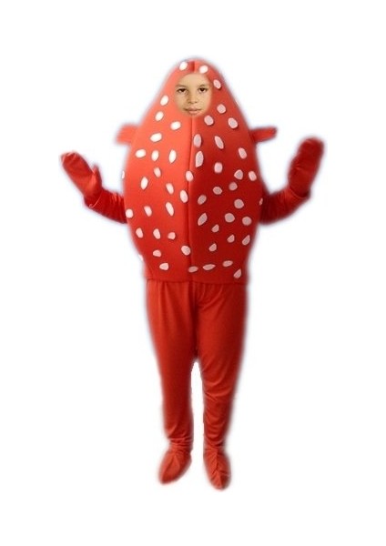 Balon Balığı Kostümü modelleri