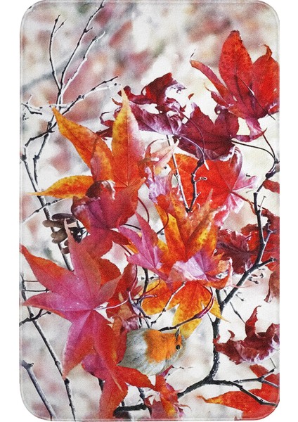 Dijital Baskılı 2'li Banyo Paspas Takımı RVG5053 fiyatları