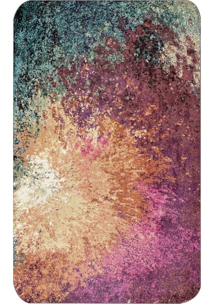 Dijital Baskılı 2'li Banyo Paspas Takımı RVG5096 fiyatları