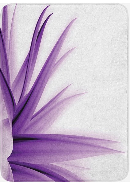 Dijital Baskılı 2'li Banyo Paspas Takımı RVG5133 fiyatları