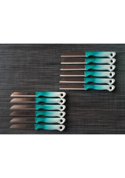 Meyve Sebze Bıçağı Ebruli Turkuaz-Yeşil 12'li