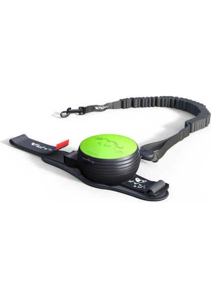Bungee Akıllı Kontrol Gezdirme L 13-40 kg Yeşil