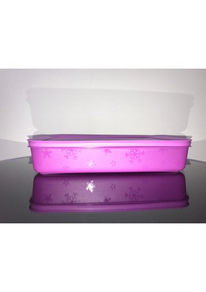 Alaska 2.25 Lt. Derin Dondurucu Saklama Kabı
