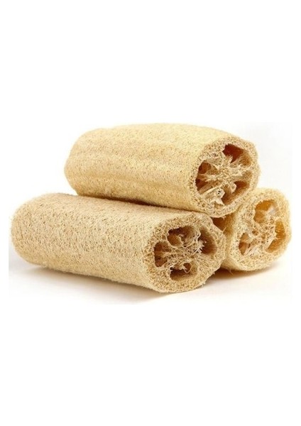 10 Adet Tohum Eko Paket Lif Kabak Tohumu Kabak Tohumu Lif Kabağı Tohumu Sürpriz Hediye Tohumludur