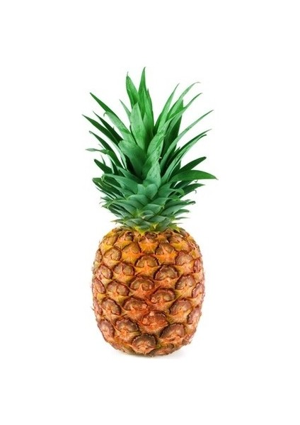 10 Adet Ananas Meyve Tohumu Ananas Tohumu Sürpriz Hediye Tohumludur