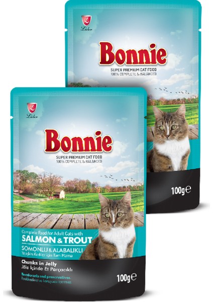 Pouch Yetişkin Kedi Maması - Somonlu ve Alabalıklı - 2 Adet