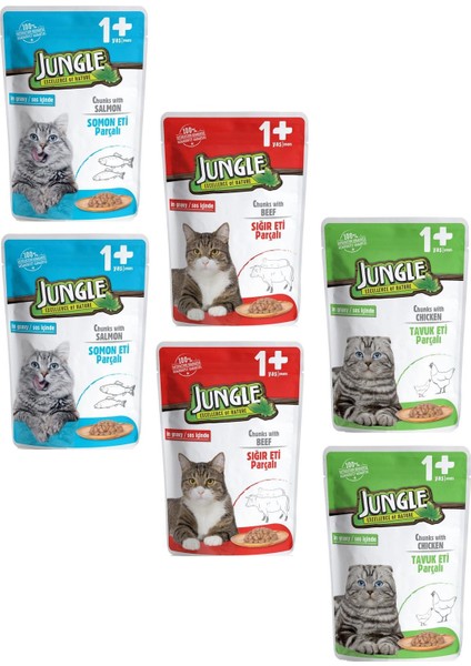 Pouch Gravy Soslu Karışık Paket Somon-Tavuk-Biftek Yaş Kedi Maması 100 gr 6 Adet