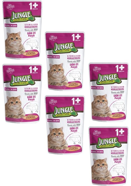 Pouch Kısırlaştırılmış Gravy Soslu Biftekli Yaş Kedi Maması 100 gr 6 Adet