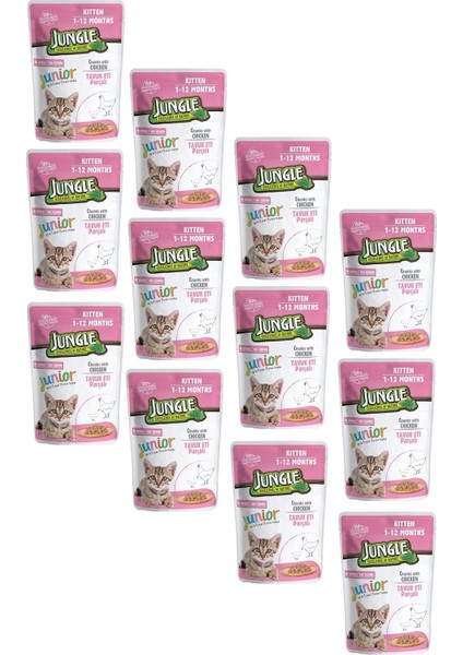 Pouch Kitten Junior Tavuklu Yavru Kedi Maması 100 gr 12 Adet