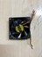 8 cm 12 Volt 3 Pinli Fan 8 cm Fan 12 Volt 8 cm Fan 2