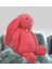 Uyku Arkadaşım Uzun Kulak Bunny Peluş Tavşan 65 Cm+Peluş Top 1