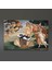 Venus Birthday Party Canvas 4