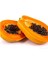Tüplü Papaya (Ağaç Kavunu) Fidanı (40-90 Cm) 1
