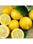 Tüplü Yoğun Kokulu Finike Beyaz Limon Fidanı 1