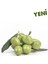 Tüplü Aşılı Içi Doldurulabilen Sarı Ulak Zeytin Fidanı 1