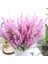 Limonium Sinuatum Deep Rose Deniz Lavantası 30 tohum 1
