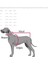 Cherry Çiçek Aksesuarlı Köpek Boyun Tasması Medium 2