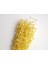 Tomurcuk Kuru Çiçek (50 GR-40CM) Sarı 1