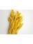 Kuş Otu Kuru Çiçek (50GR 40CM ) Sarı 1