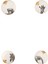 Wild Life Karma Kase Takımı 17CM 4'lü 1