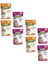 Pouch Kısırlaştırılmış Gravy Soslu Karışık Paket Tavuk-Biftekli Yaş Kedi Maması 100 gr 8 Adet 1